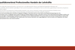 Qualitaetsrahmen-GTS_MSM-Wiesloch_Homepage_219792_012
